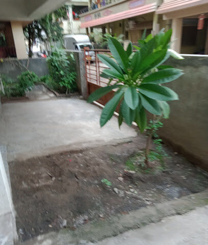 Janai Park