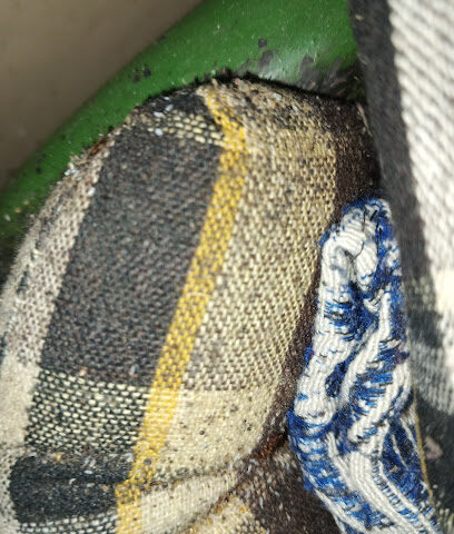 Master Pest Control Services