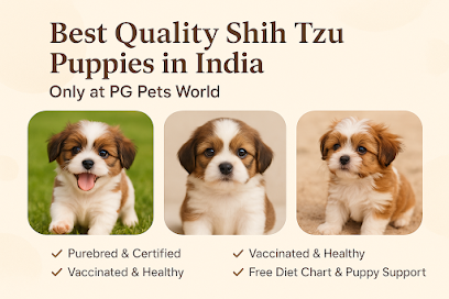 Pg Pets world