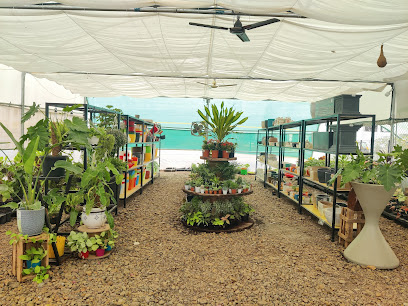 Prakrutis Plants & Nursery